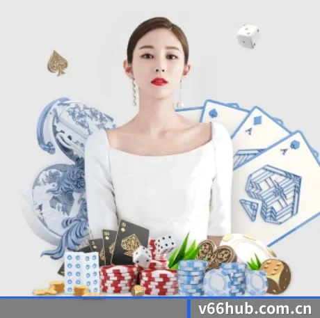 V66体育 APP